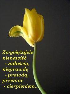 Flower...