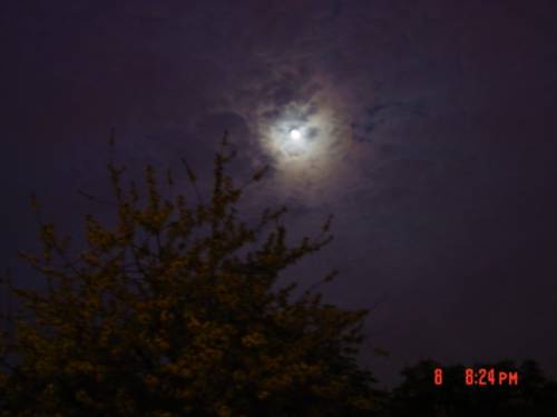 nocna podr...