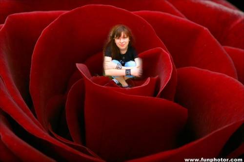 Her Ghost in the...rose