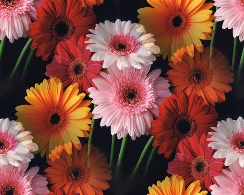 For mams :)