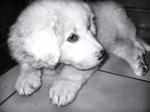 My BaBy :)