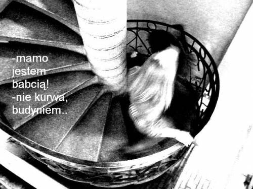 mlecyk 