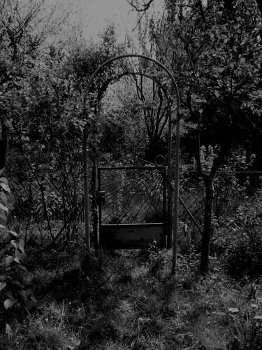 Gate to nothingness 