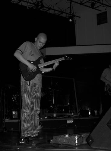 Koncert Comy