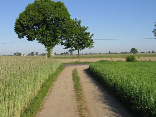 way