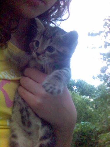 :) NiaCh niaCh ;D