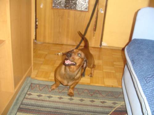 What\'s up ??? 
