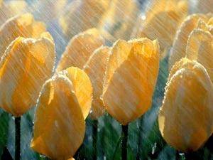 LaTo...:)