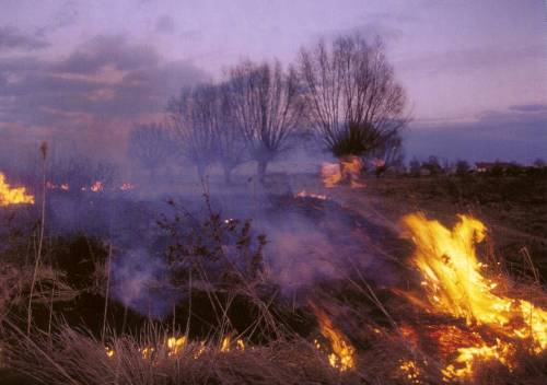 Everything burns...........
