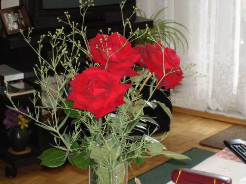 rose rosse