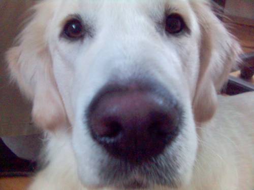 Kamilek^^