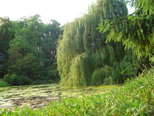 Natura...