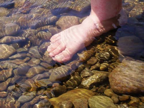River\'s lucidity...