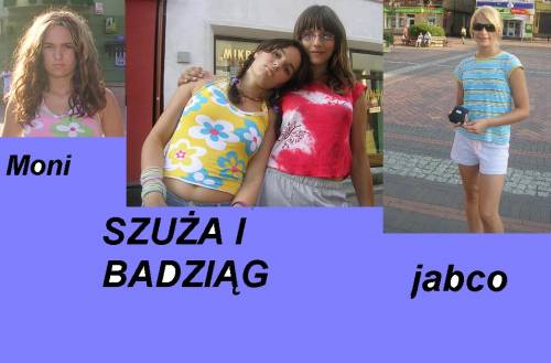 pss-psy i koty