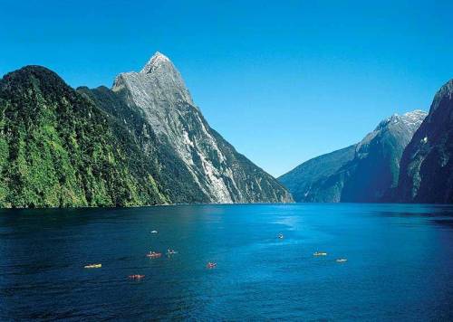 NEW ZELAND!