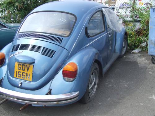 trabant zwyczajny