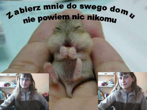 W dyskotece