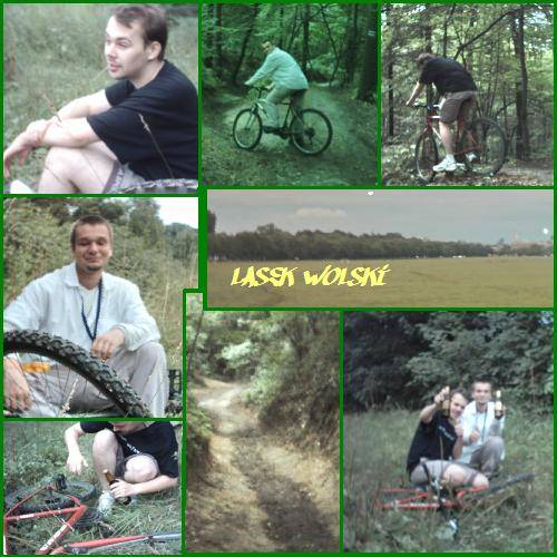Lasek Wolski Part 2