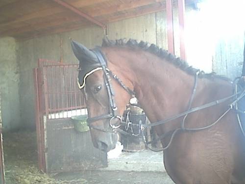 myszkaaa:*