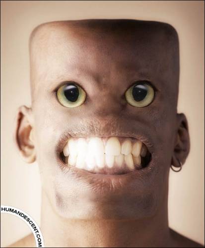 nie ludzie a swinie 