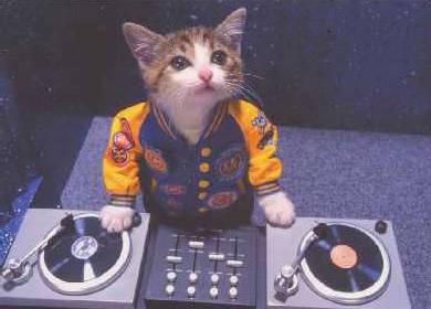 DJ - LOL