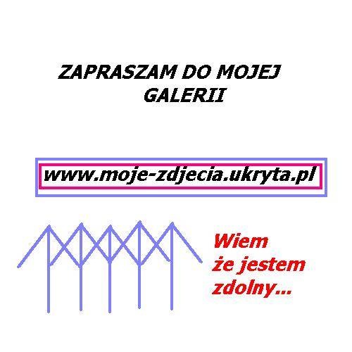 ZAPROSZENIE!!