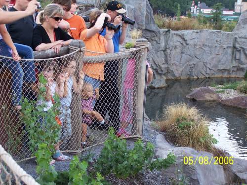 Ucieczka w ZOO