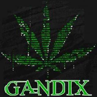 -==HWDP+=-