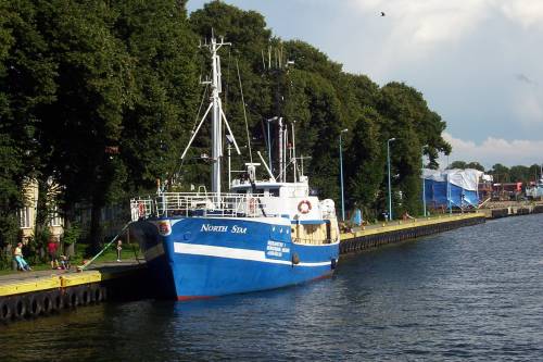PORT W DAROWIE