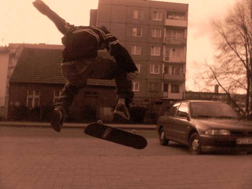 kris's  Flip  ***