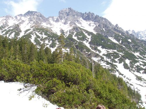 Tatry