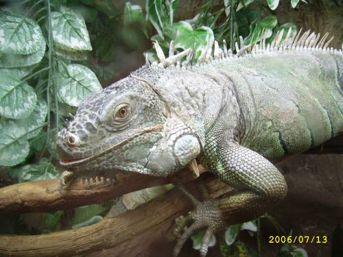 Warszawskie ZOO naprawde polecam
