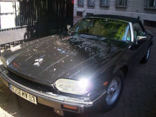 jaguaR