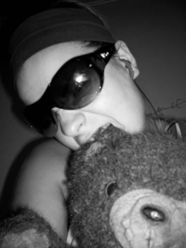  Hi I\\\'m a Teddy Bear