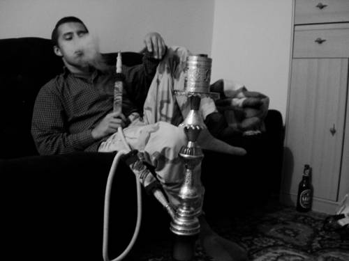 znooFF SheesHa