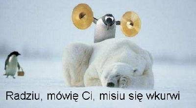 K O N I E C 