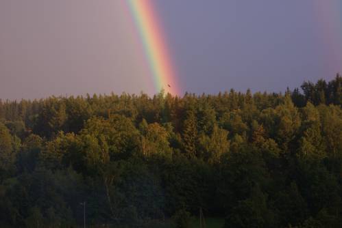 Jastrzb ...