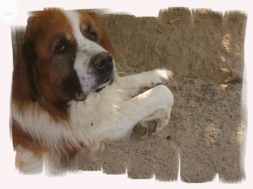 Benio ;)