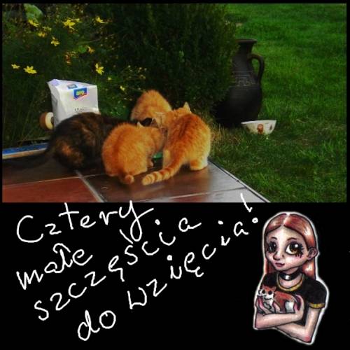 O jedno szczcie mniej ;D