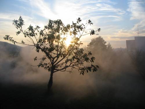 the place where i live :]