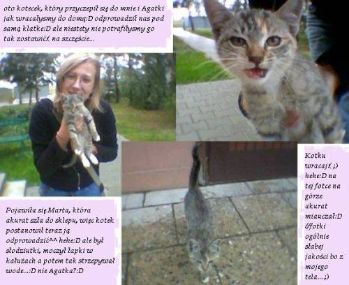 kotek:D