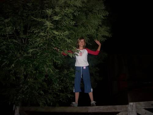 (=``My crazy life``=)