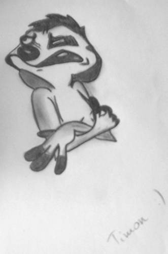 Hakuna Matata!