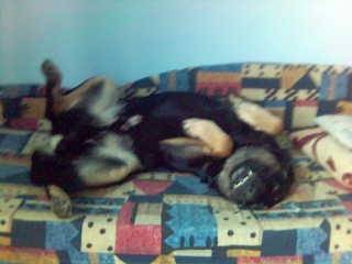 Maxiu:))