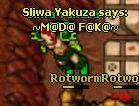 First fota ;d