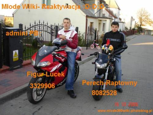 ;]  Mode Wilki- Reaktywacja  ;]