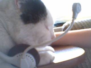 DJ ma do :D 