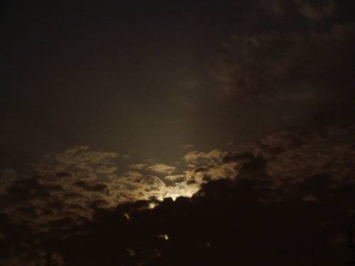 23.05.2006r.