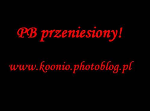 PB PRZENIESIONY!!