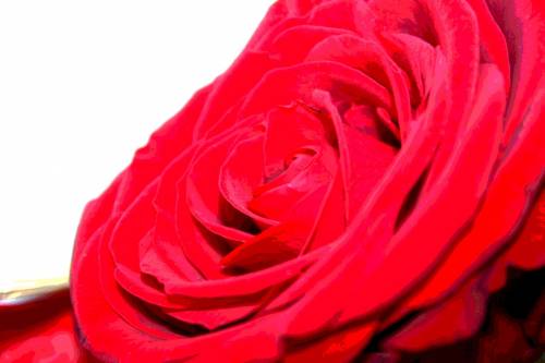 For you.